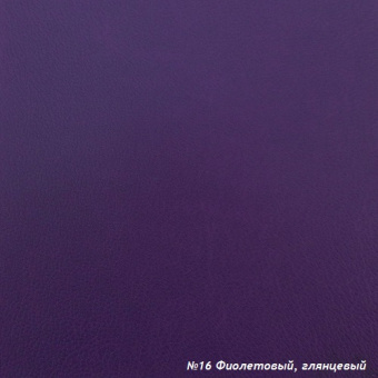 №16 Фиолетовый, глянцевый