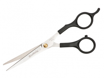 Ножницы парикмахерские Katachi Basic Cut 5,5 K0155 MХ